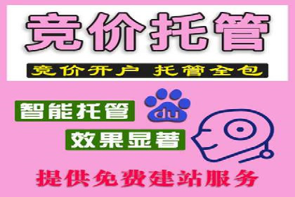 百度推广运营实战攻略：案例教学与优化
